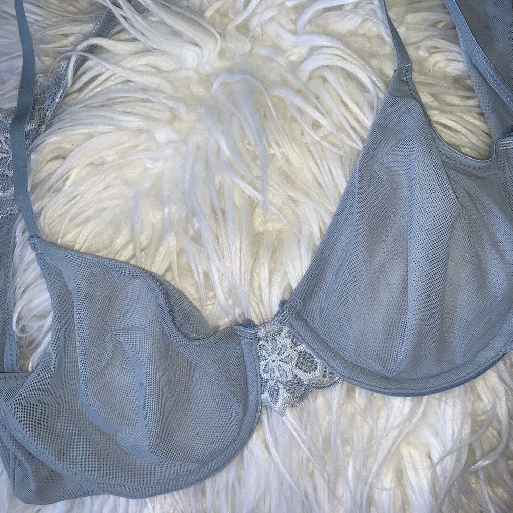 Blue sheer Arie bra